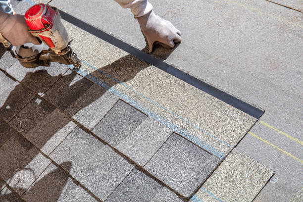 Best Shingle Roofing Installation  in Ainsworth, NE